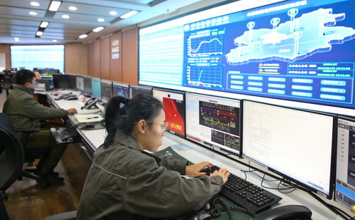 中央廣播電視總臺2024年春節(jié)聯(lián)歡晚會版權聲明