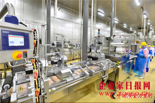 雙匯發(fā)展 完善產(chǎn)業(yè)布局，增強(qiáng)核心競(jìng)爭(zhēng)力，攜手鄭州軟件推動(dòng)產(chǎn)業(yè)升級(jí)